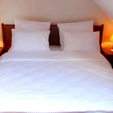 Hotel Sahat 4*